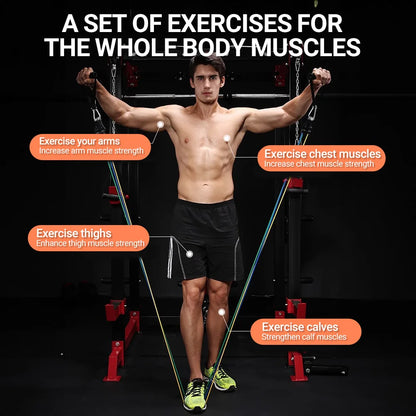 Resistance Bands Set™ 10–14pcs for Workout & Muscle Training